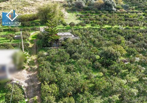 AGRUMETO UN TUMULO PRODUTTIVO / C.DA TRE FONTANE – PALAGONIA – Rif. SMPSLV2025