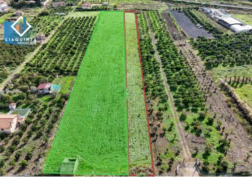 N.04 LOTTI TERRENO IN ZONA AGRICOLA RESIDENZIALE / C.DA MARGIA (PREZZO SINGOLO LOTTO) – Rif. TRASBS2025